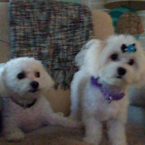 Meet your Posher, Jackie